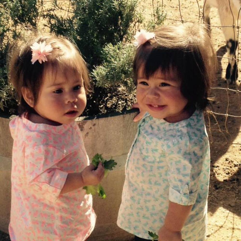 Meet your Posher, Lynette